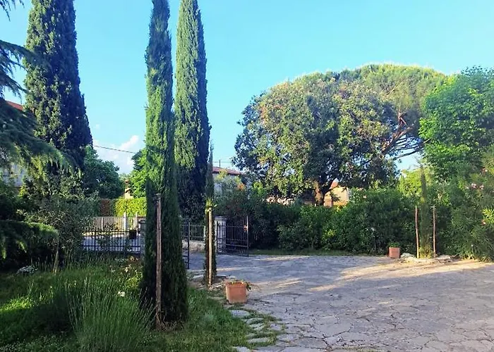 I Cipressi * Castiglione del Lago